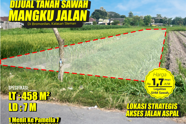 Tanah sawah 1